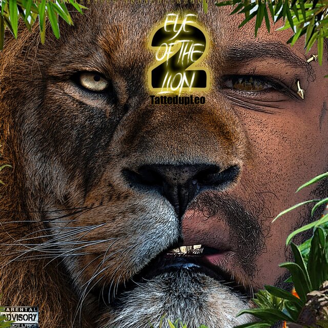 Eye Of The Lion 2