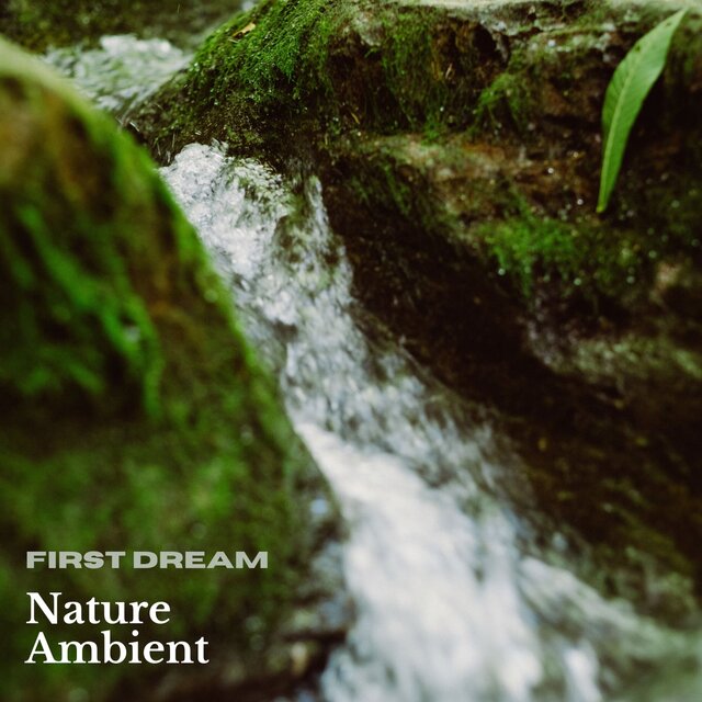 Nature Ambient 2
