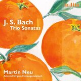 Trio Sonata No. 2 in C Minor, BWV 526: II. Largo