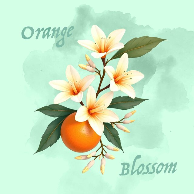 Orange Blossom