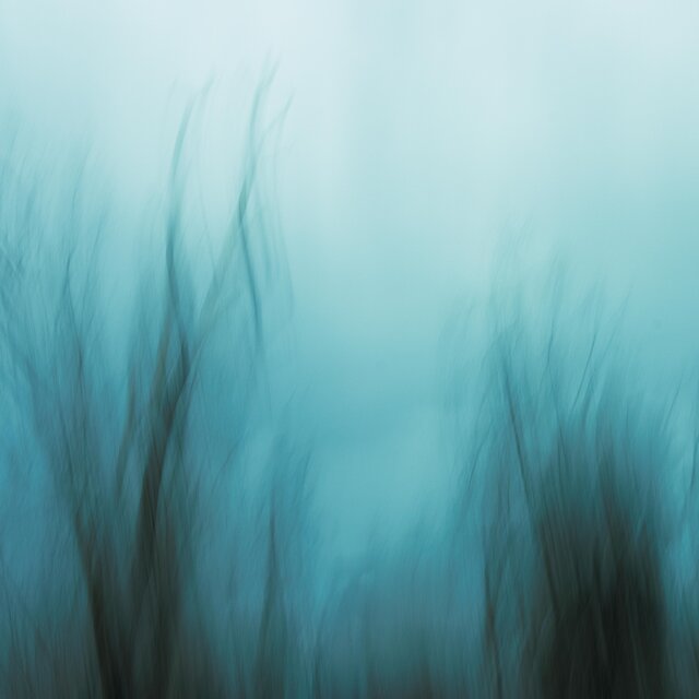 Quvo