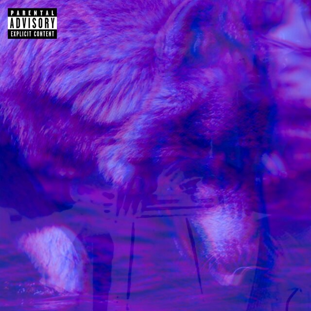 DOGWATER