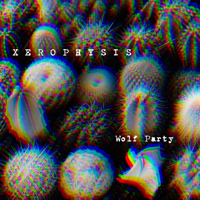Xerophysis