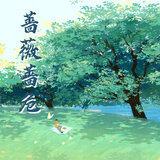 蔷薇蔷危