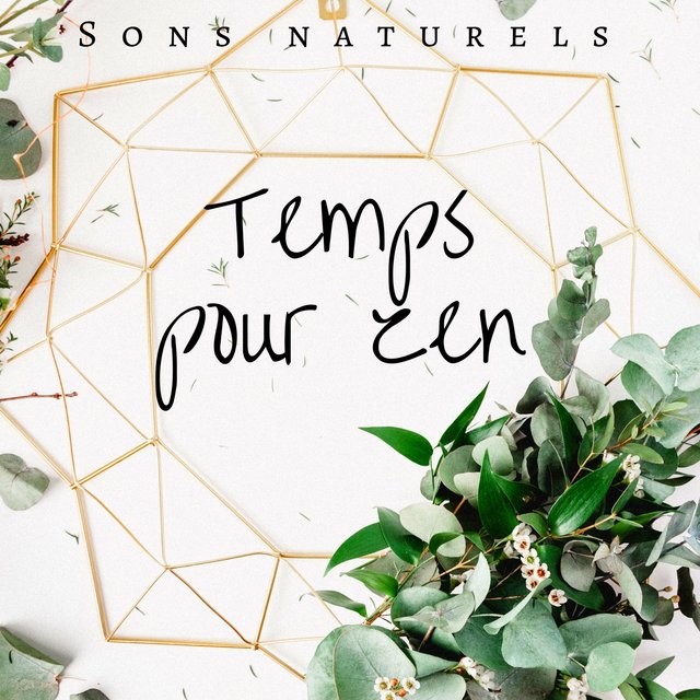Temps pour zen - Sons naturels et orientaux pour le Détente, Yoga et Sommeil, Technique de Méditation