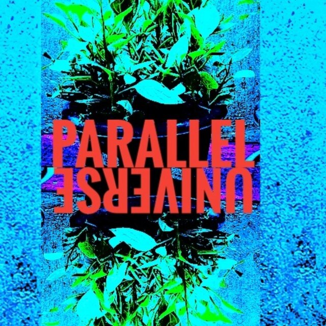 PARALLEL UNIVERSE