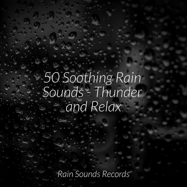 50 Soothing Rain Sounds - Thunder and Relax