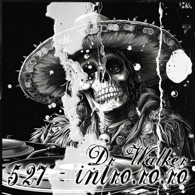 527 - intro.ro.ro.ro