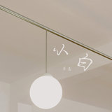 小白