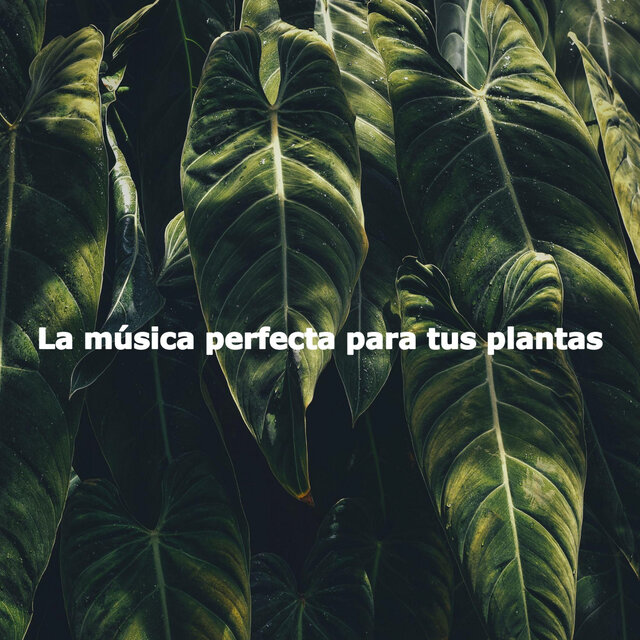 La música perfecta para tus plantas