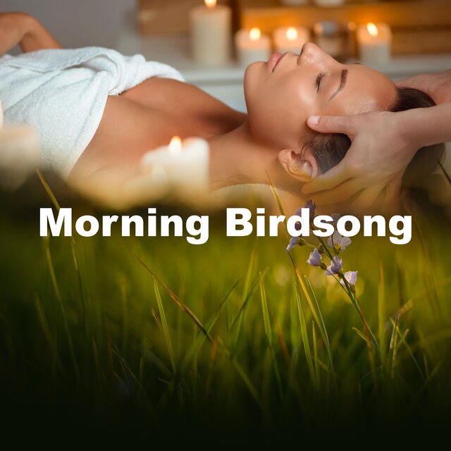 Morning Birdsong