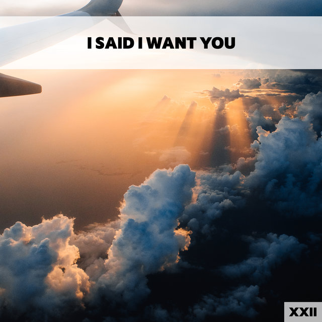 I Think I Need You XXII