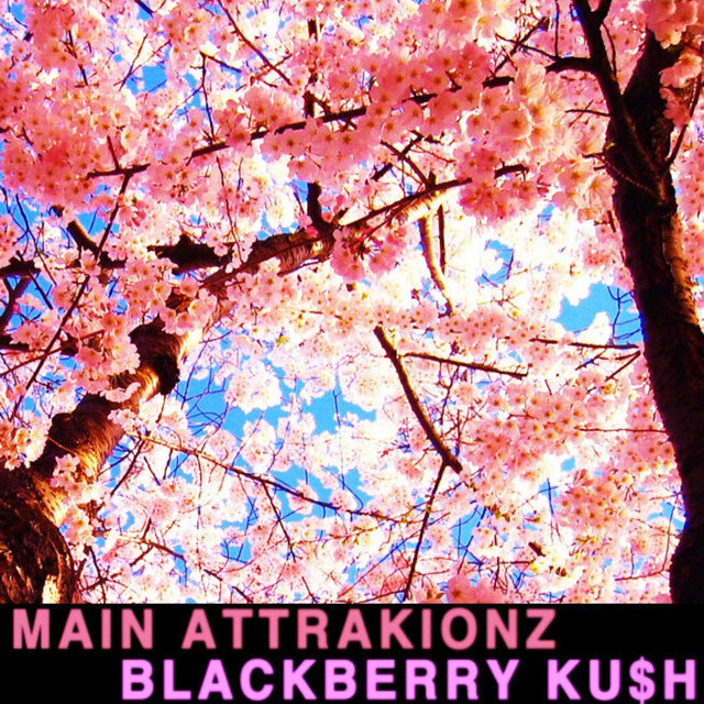 Blackberry Kush