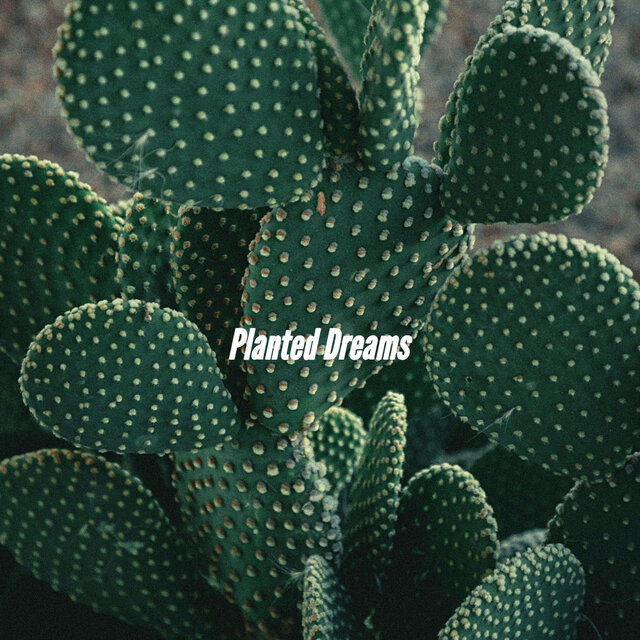 Planted Dreams