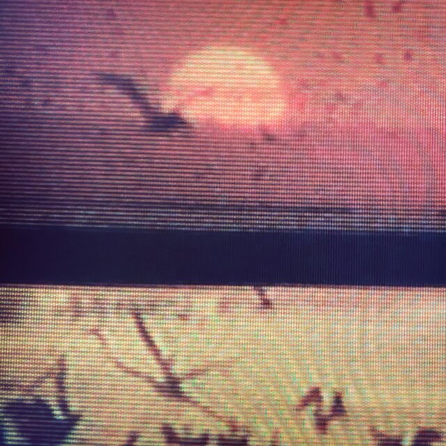 Dawn Demons