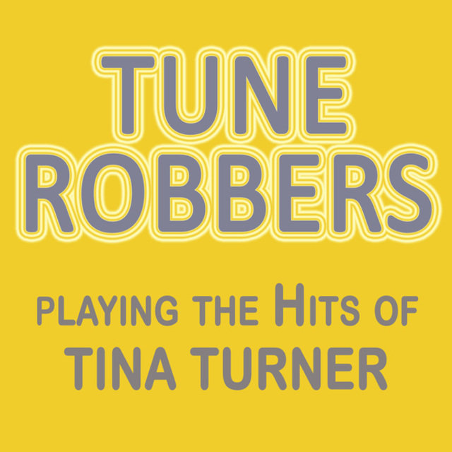 Playing the Hits of Tina Turner