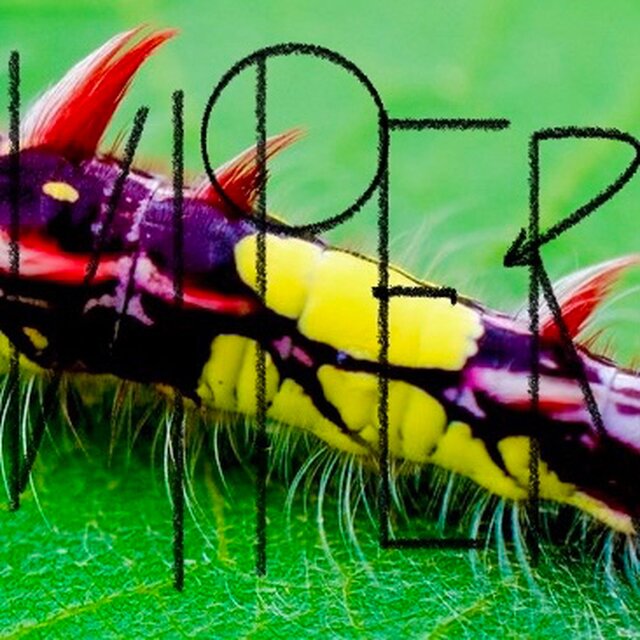 Viper