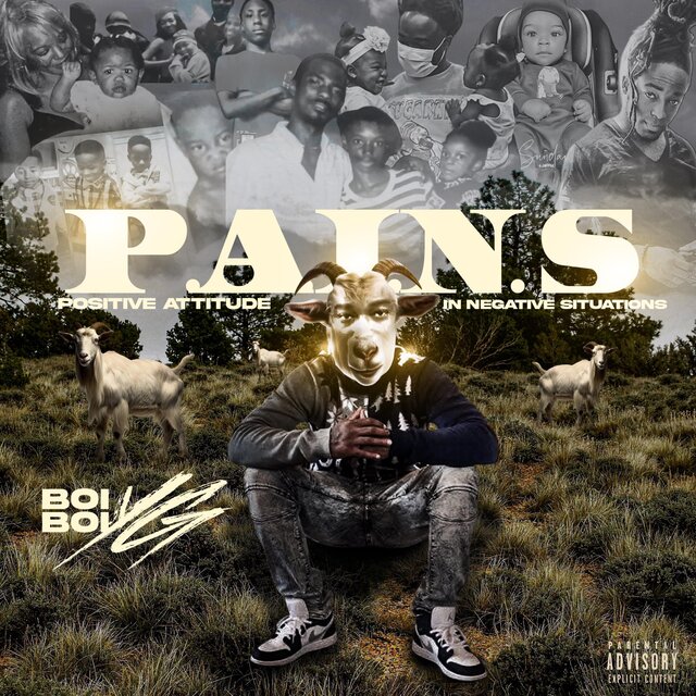 P.A.I.N.S