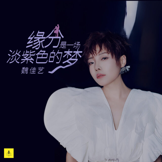 缘分是一场淡紫色的梦