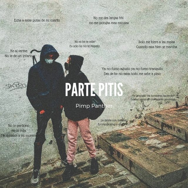 Parte Pitis