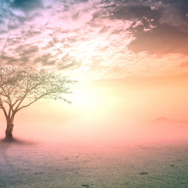 Dreamy Places