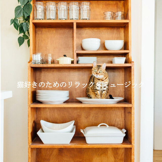 猫好きのためのリラックスミュージック