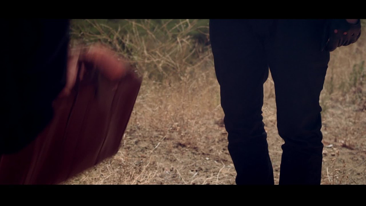 We'll Be Coming Back (feat. Example)