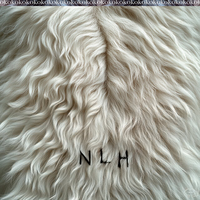 NLH