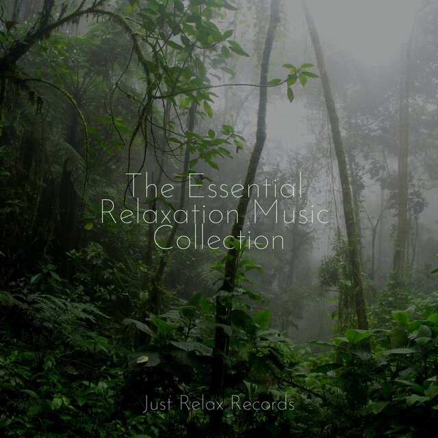 The Essential Relaxation Music Collection