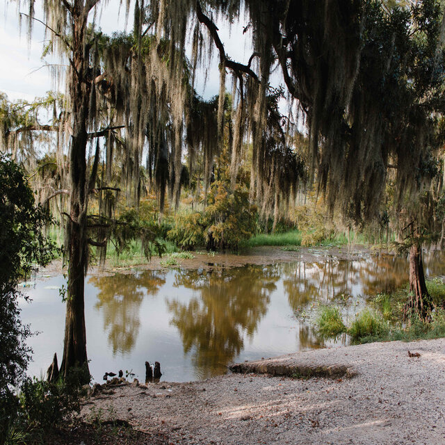 barkley cove