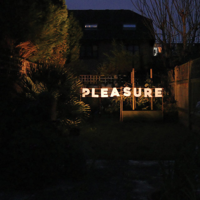 Pleasure