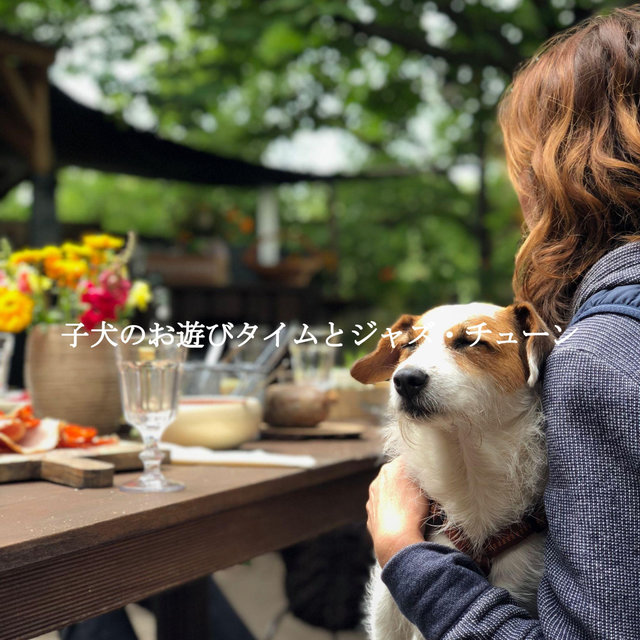 子犬のお遊びタイムとジャズ・チューン