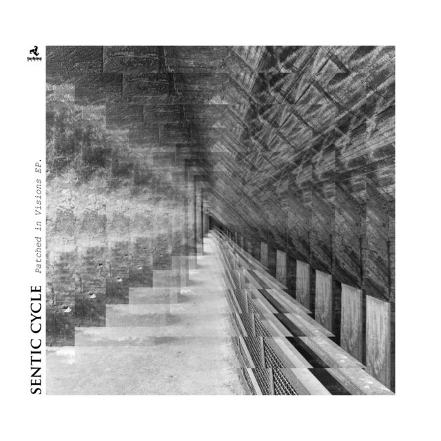 Sentic Cycle on TIDAL
