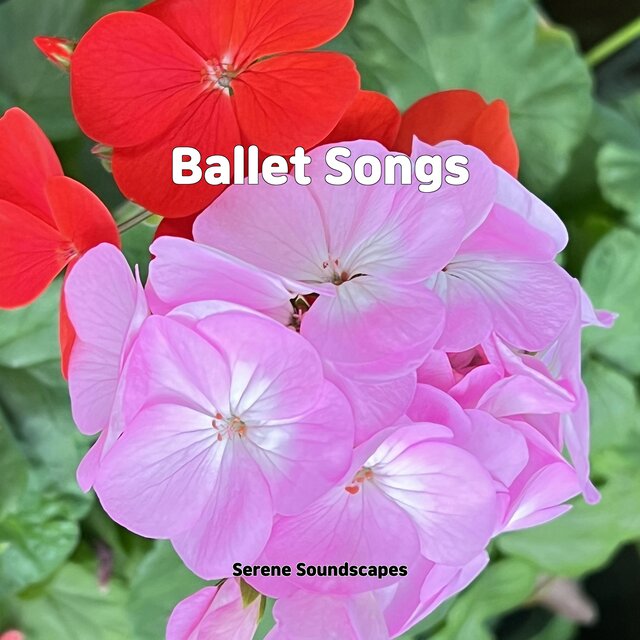 Ballet Songs
