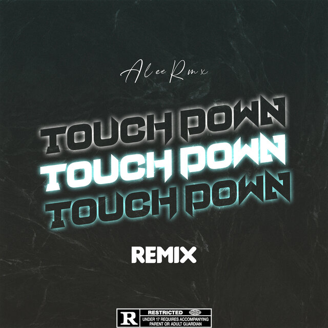 Touch Down (Remix)