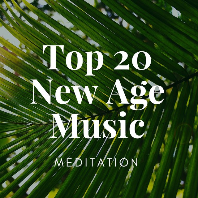 Top 20 New Age Music: Meditation and Deep Sleep Dreaming Music, Nature Sounds with Rain, Ocean Waves, Spirit of Nature