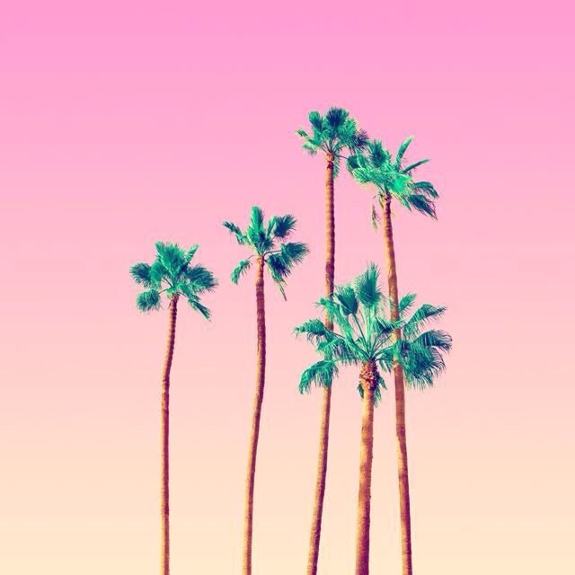 Palms