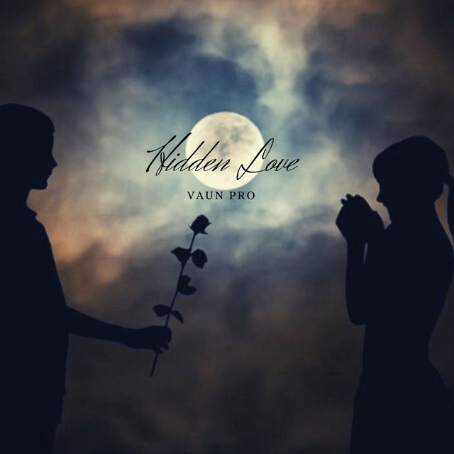 Hidden Love