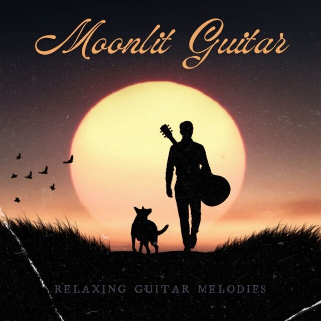 Moonlit Guitar: Peaceful Instrumental Music