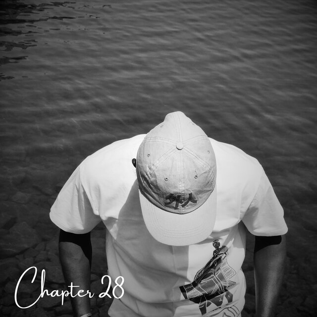 Chapter 28
