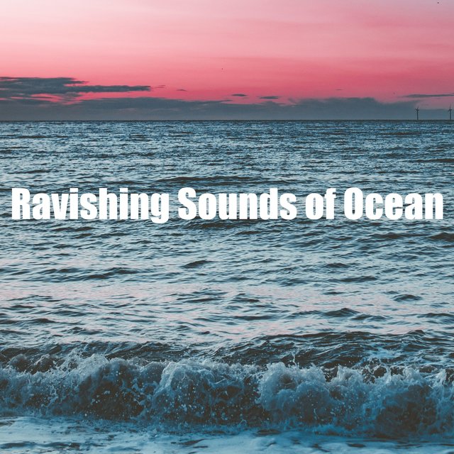 Ravishing Sounds of Ocean