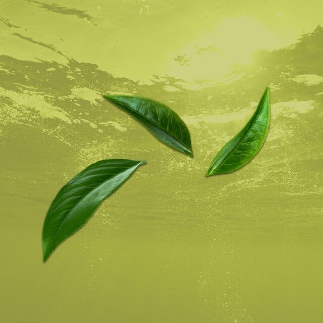 Green Tea