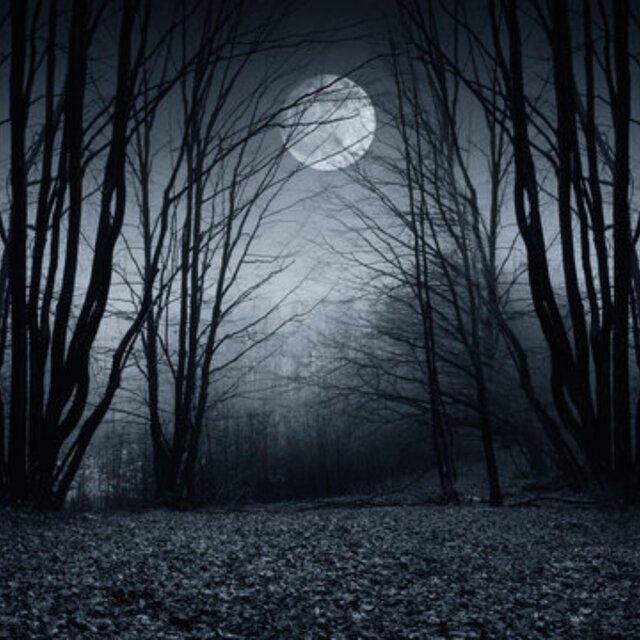 Light up darkness