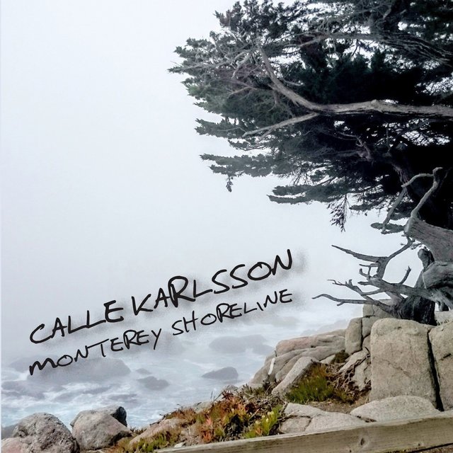 Monterey Shoreline