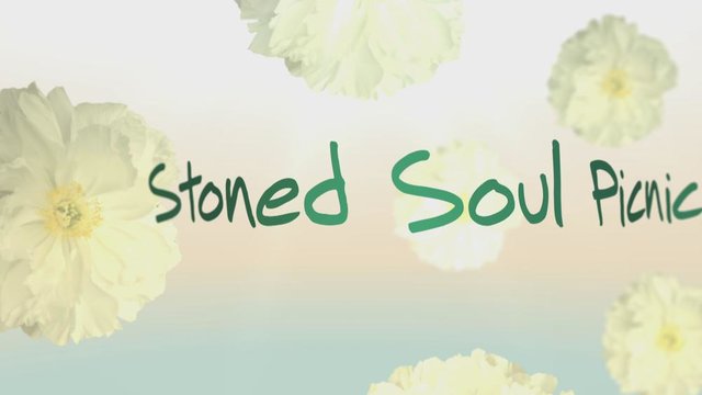 Stoned Soul Picnic (Lyric Video)