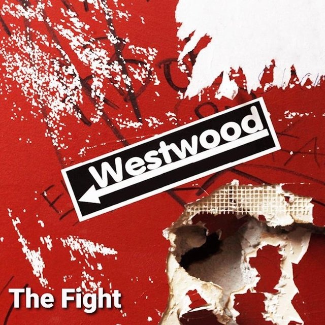 The Fight