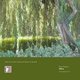 Cover art for album Willow by Rosy Parlane