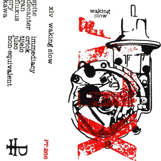 Waking Slow
