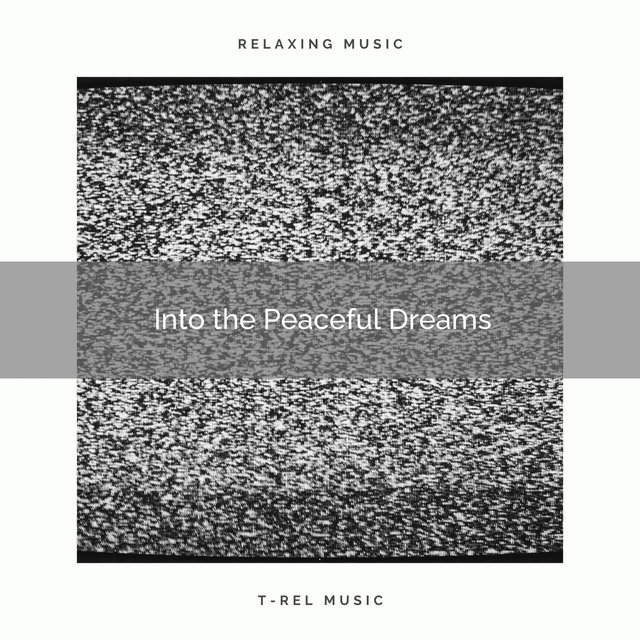 Into the Peaceful Dreams with Soft Noises