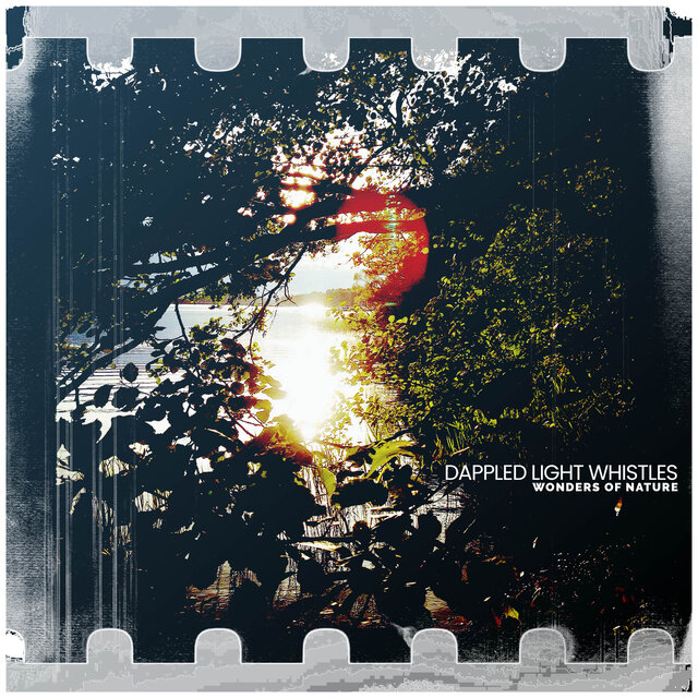 Dappled Light Whistles